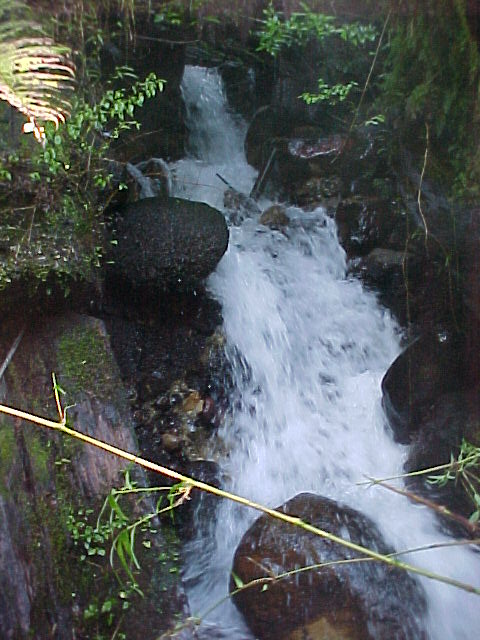Waterfall in one of the many creeks